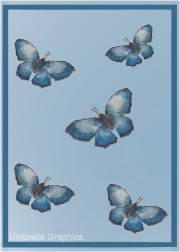 Blue Butterfly Card Design by Susan Tang